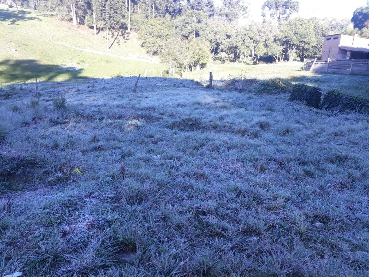 Geada marca amanhecer de Boqueirão do Leão