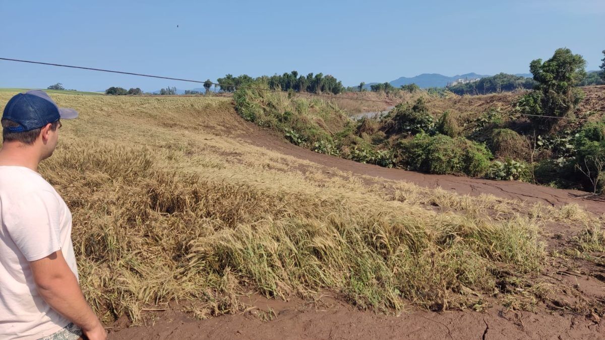 Prejuízo financeiro na agricultura supera os R$ 10 milhões em Arroio do Meio