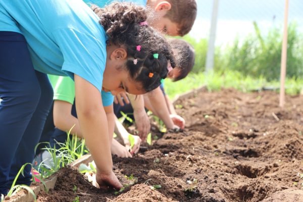 Cooperativa Santa Clara inscreve escolas em projeto de sustentabilidade