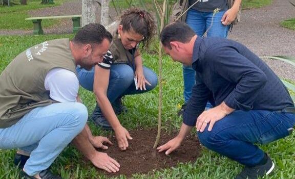 Mais de 1,6 mil mudas de árvores já foram entregues este ano em Venâncio Aires