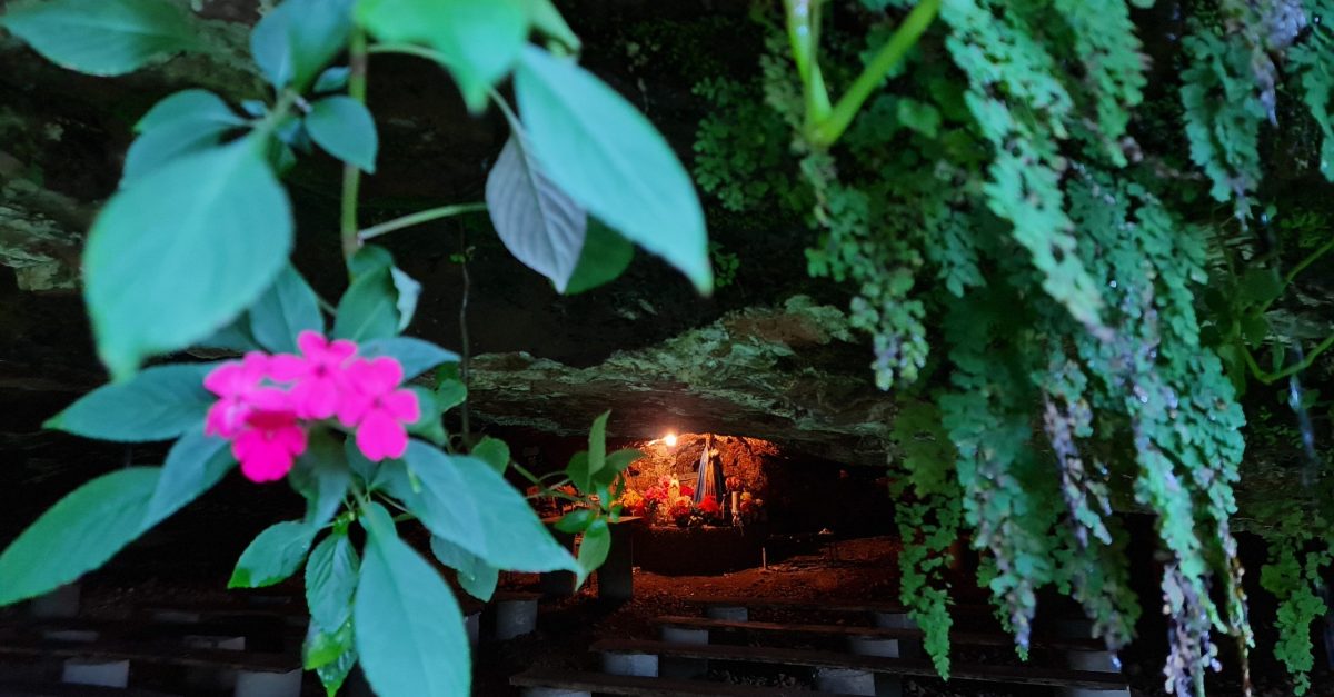 Cura milagrosa fez família estruturar gruta a Nossa Senhora Aparecida em Ilópolis