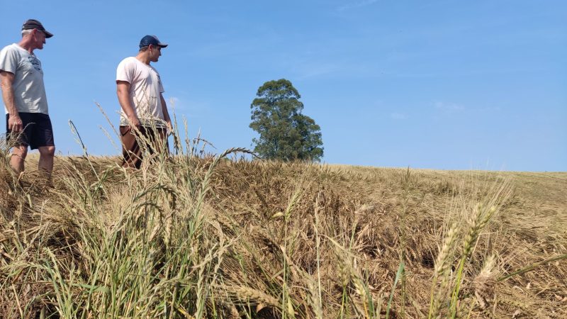 Agricultores afetados por cheia terão desconto de 30% no Pronaf