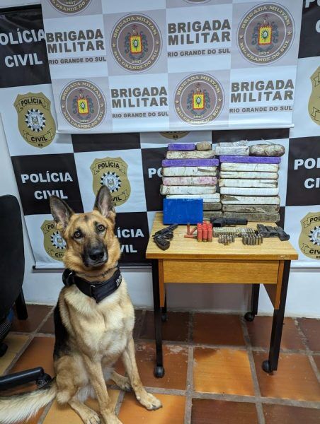 Operação resulta em prisões e apreensão de drogas e armas em Arvorezinha