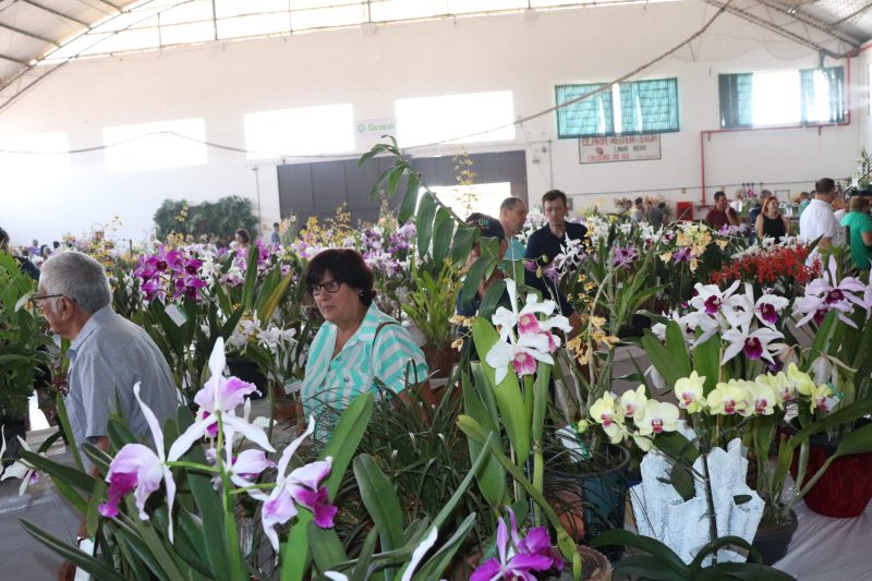 Mais de 25 mil pessoas são aguardadas na 4ª Festa das Orquídeas