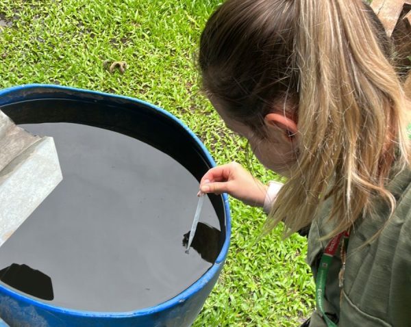 Alto índice para dengue preocupa Encantado