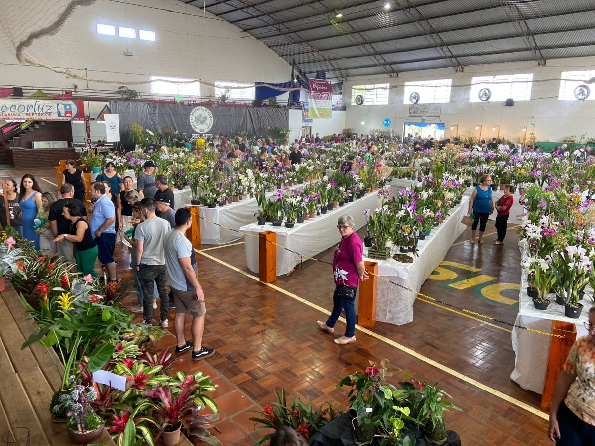 Festa das Orquídeas recebe 25 mil pessoas até domingo