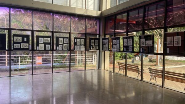 Univates lança edital de exposições para 2024