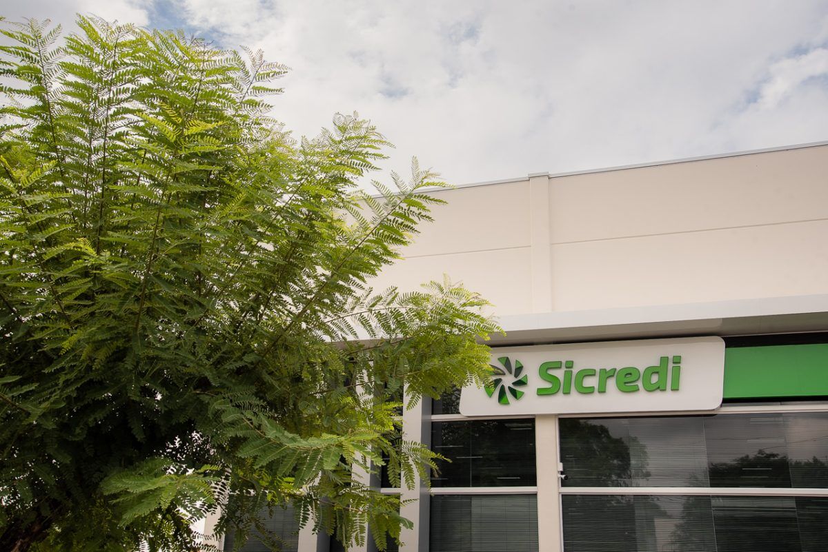 Sicredi neutraliza emissões de carbono