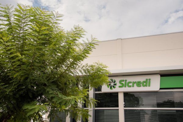 Sicredi neutraliza emissões de carbono