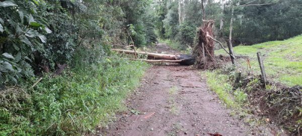 Arroio do Meio contabiliza prejuízos causados por temporal
