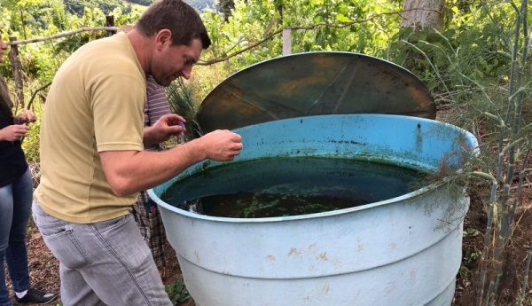 Canudos do Vale realiza ações de combate ao Aedes aegypti