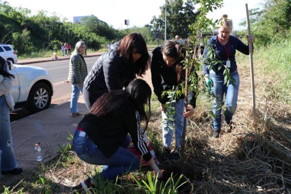 Programa Lajeado Mais Verde planta 429 mudas em 2023