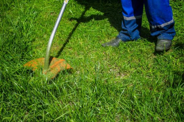 Forquetinha reforça a necessidade da limpeza de terrenos