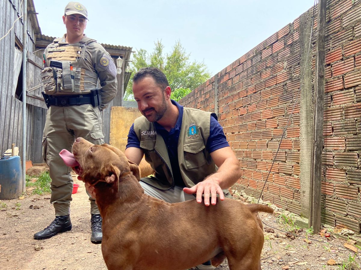 Força-tarefa implanta microchips em cães violentos em Venâncio Aires