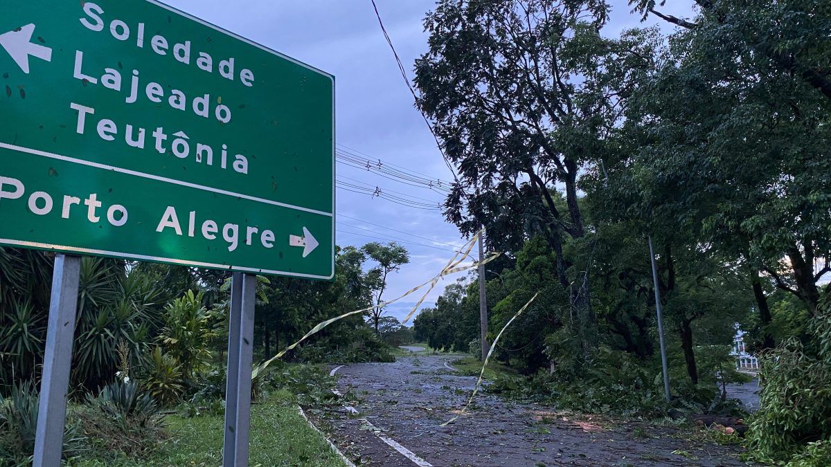 Árvores sobre a pista interrompem acesso à BR-386