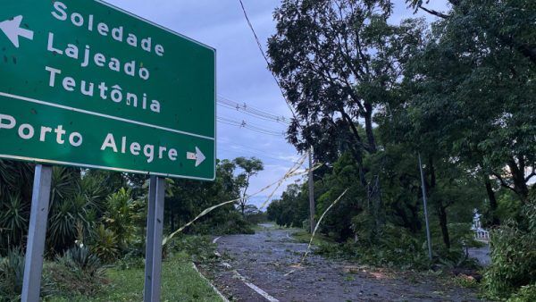 Árvores sobre a pista interrompem acesso à BR-386