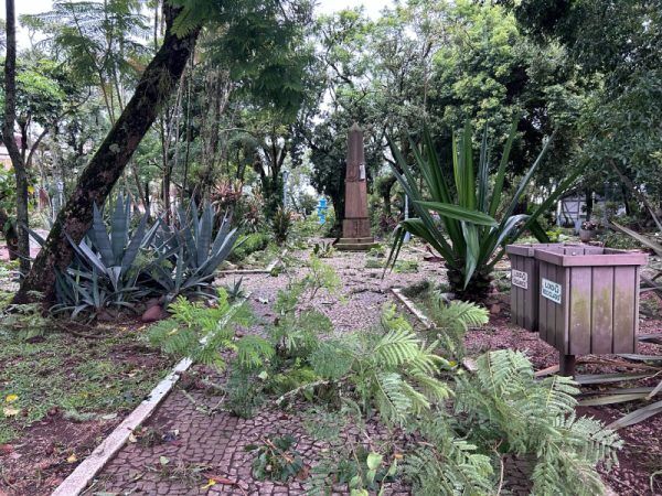 Vento derruba árvores centenárias na praça central de Estrela