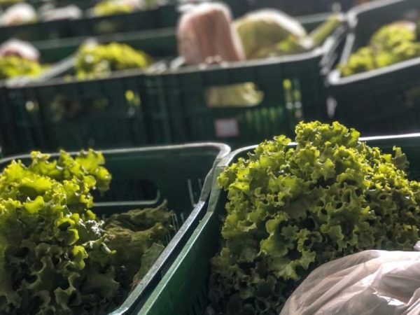 Aquisição de alimentos em Venâncio Aires têm prazo de inscrições prolongadas