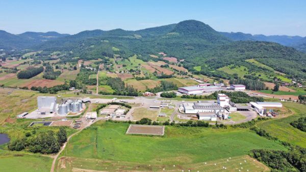Dália e associados recebem destaque em produção leiteira