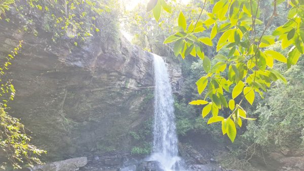 Na trilha das cascatas Wasserfall