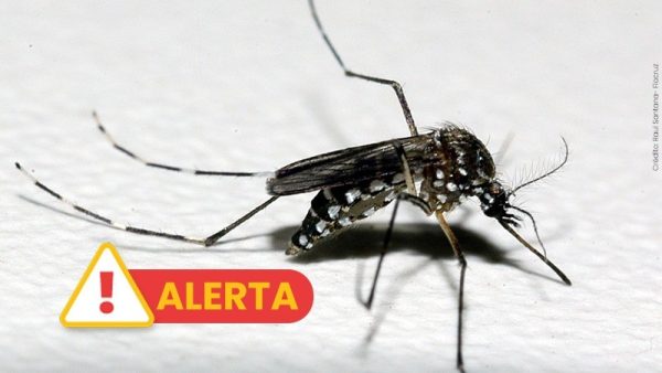 RS registra o terceiro óbito por dengue no ano