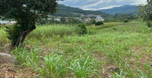 Cedência de área permite construção de moradias populares em Encantado