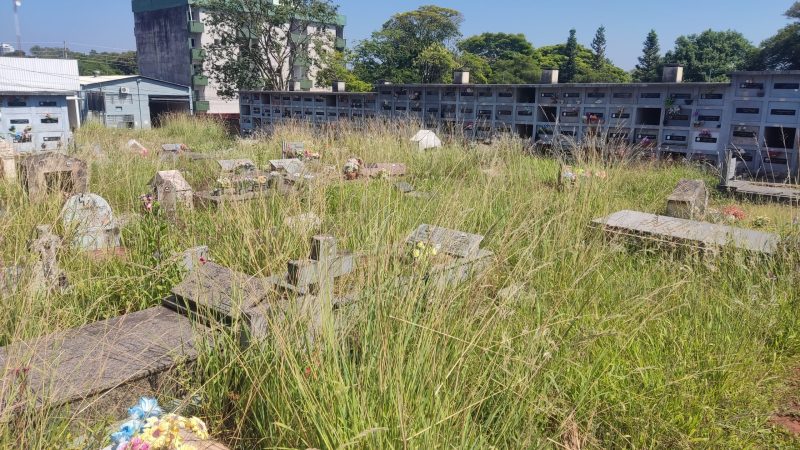 Falta de roçadas no cemitério municipal de Lajeado gera críticas