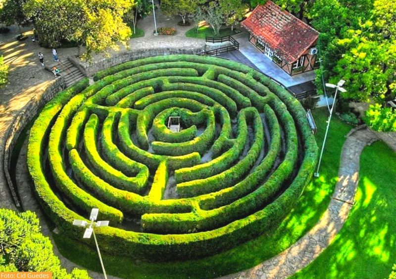 Vereador Diego Wolschick reivindica criação de labirinto verde turístico