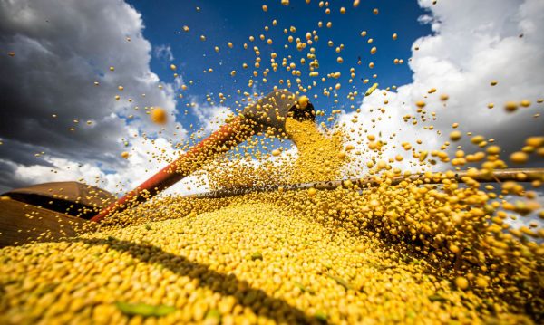 Edegar Pretto: “O RS volta a ser o 2º maior produtor de grãos do país”