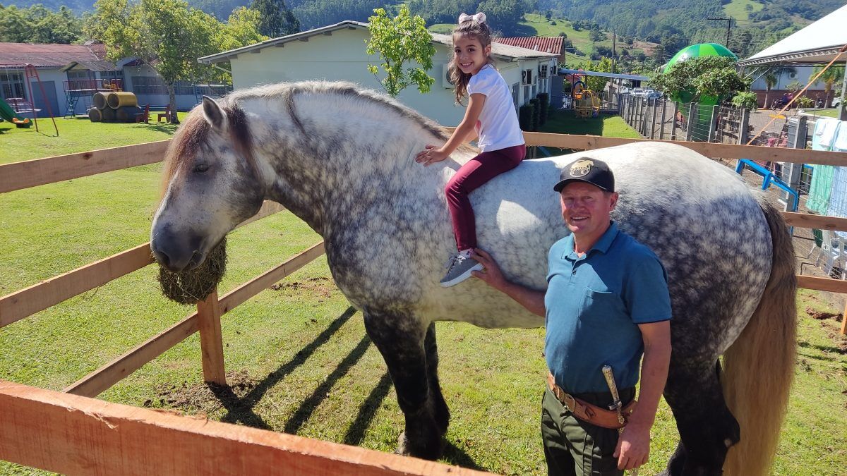 “É um cavalo que por onde passa chama atenção”