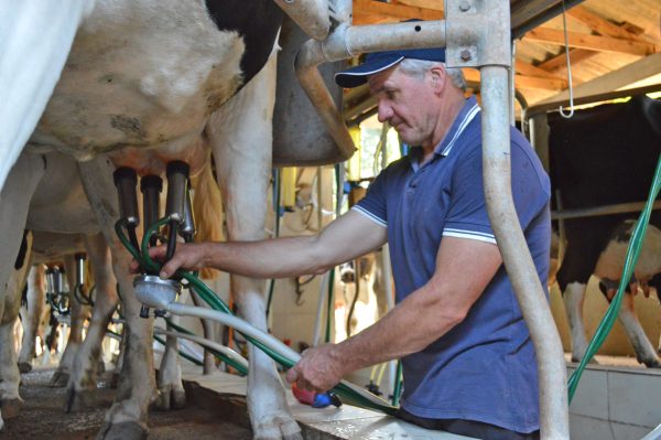 Fetag prevê cenário melhor com tributação de leite importado