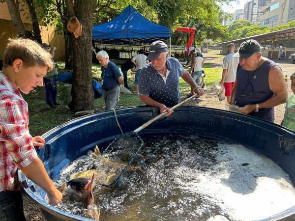 Feira do Peixe Vivo de Lajeado ocorre nesta sexta