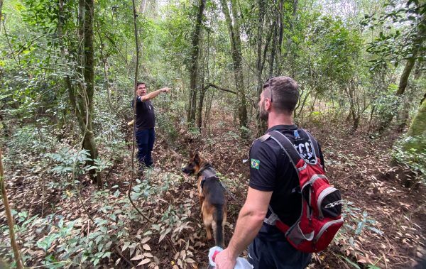 Buscas a jovem desaparecido seguem com cão farejador em Venâncio Aires