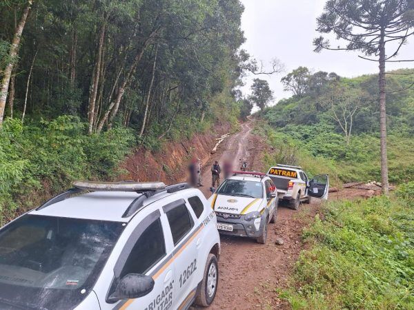 Homens são presos em flagrante por desmatamento