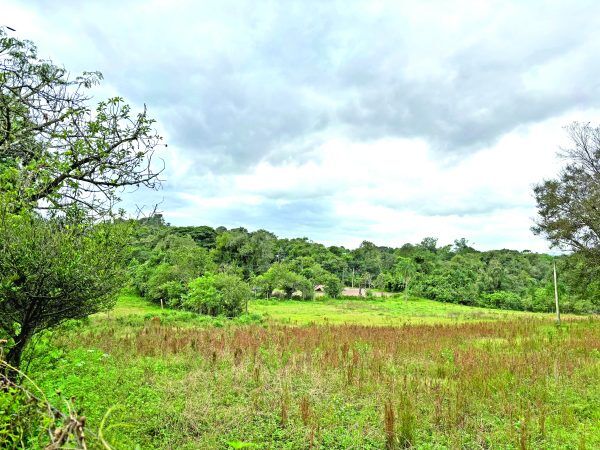 Colégio Ceat projeta nova estrutura no Alto do Parque