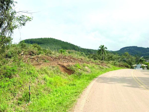 Relvado inicia limpeza de área para a construção de casas