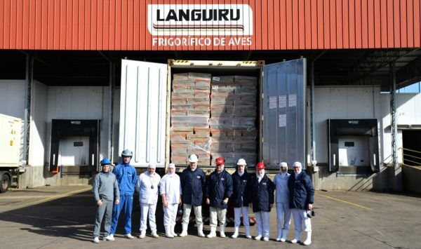 Frigorífico de aves da Languiru exporta primeira carga para China