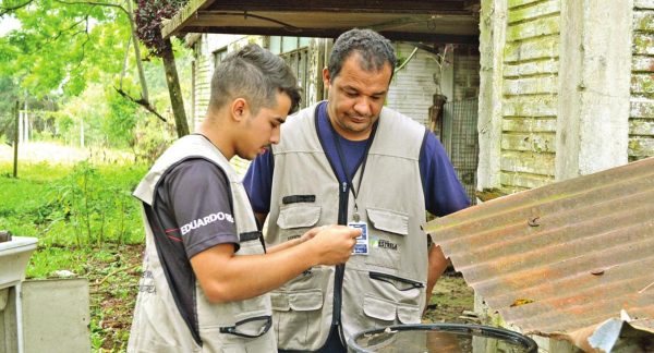 Estrela registra quase mil casos de dengue