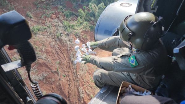 Cinco milhões de sementes são lançadas em áreas do Vale