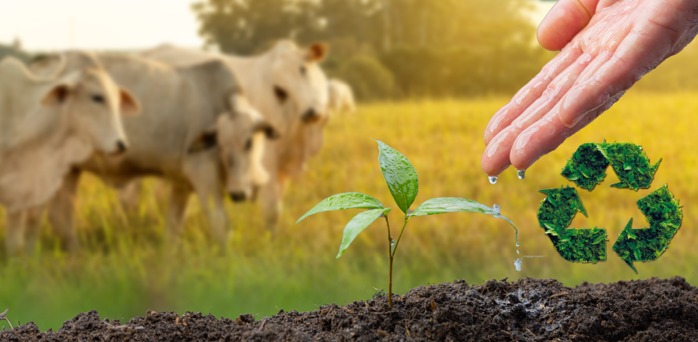 Conheça o trabalho realizado pelo Grupo FASA por um futuro sustentável