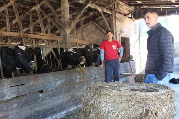 Movimento gaúcho cobra ações e medidas de apoio aos agricultores