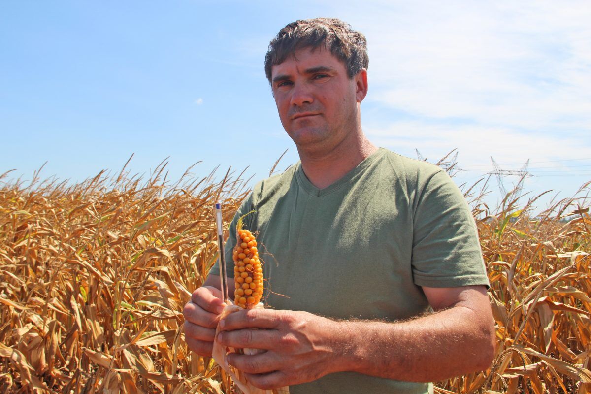 Governo debate dívidas e securitização no agro