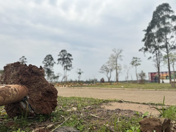 Concessão para melhoria do Parque Ney Santos Arruda passa por revisão