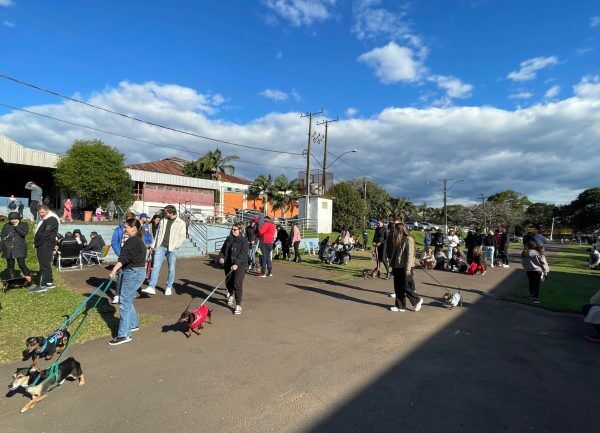 Parque do Imigrante sedia encontro de cães salsichas de Lajeado