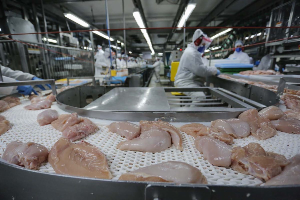 Empresas retomam confiança no mercado de proteína animal