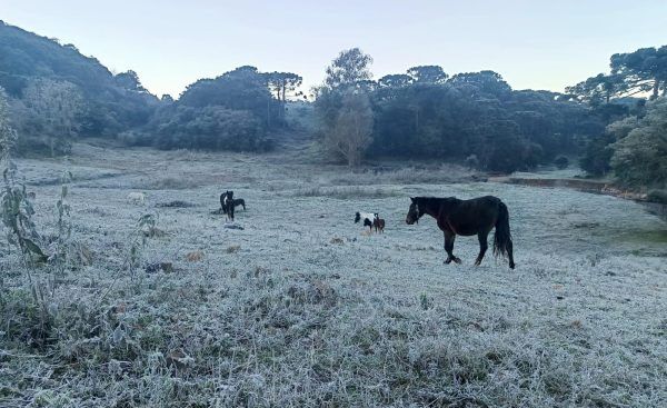 Geada e temperatura negativa em um dos dias mais frios do ano