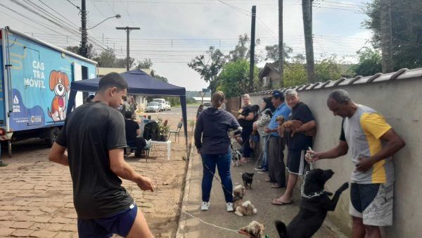 Estrela prepara ação especial para animais domésticos neste sábado