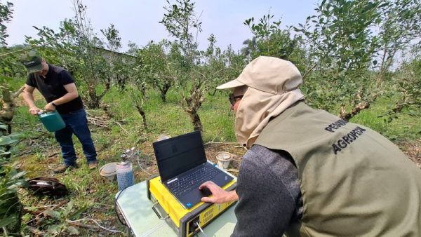 Estudo no polo ervateiro analisa redução das emissões de carbono