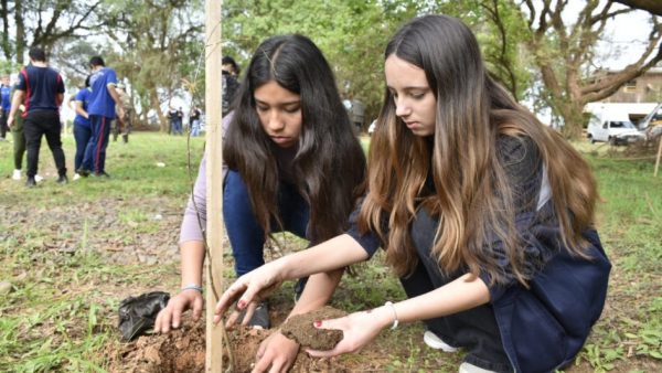 Em nova ação do projeto SemeAr, centenas de mudas de árvores são plantadas no Vale do Taquari