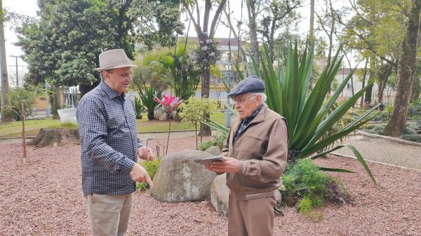 Plantação de muda de umbu faz resgate histórico e de lendas em Estrela